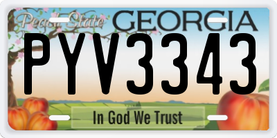 GA license plate PYV3343