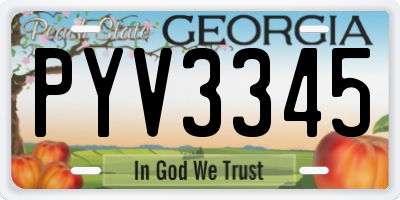 GA license plate PYV3345