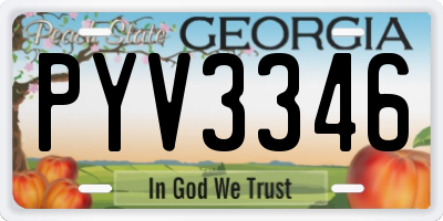 GA license plate PYV3346