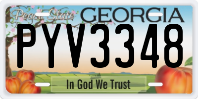 GA license plate PYV3348