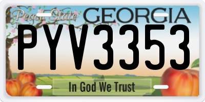 GA license plate PYV3353