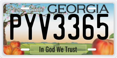 GA license plate PYV3365