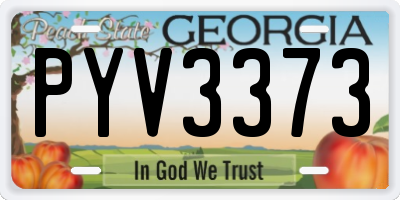 GA license plate PYV3373