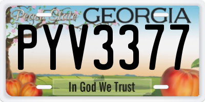 GA license plate PYV3377