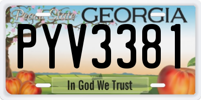 GA license plate PYV3381