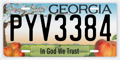 GA license plate PYV3384