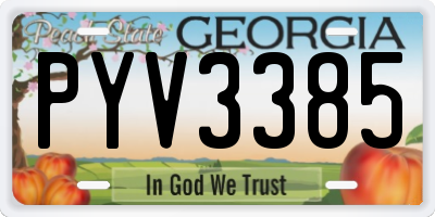 GA license plate PYV3385