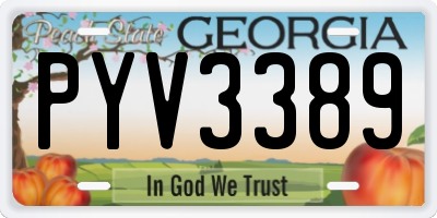 GA license plate PYV3389
