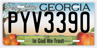 GA license plate PYV3390