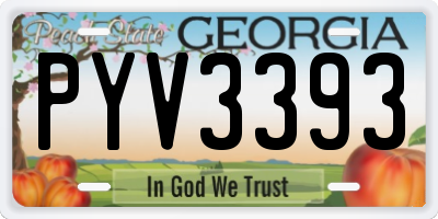 GA license plate PYV3393