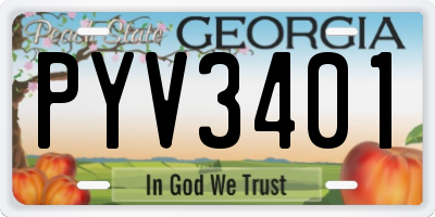 GA license plate PYV3401