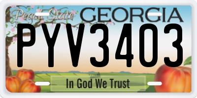 GA license plate PYV3403