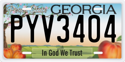 GA license plate PYV3404
