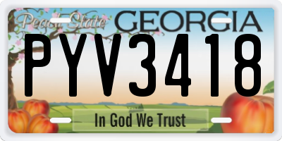 GA license plate PYV3418
