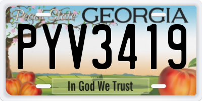 GA license plate PYV3419