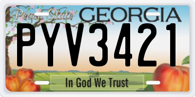 GA license plate PYV3421