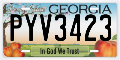 GA license plate PYV3423