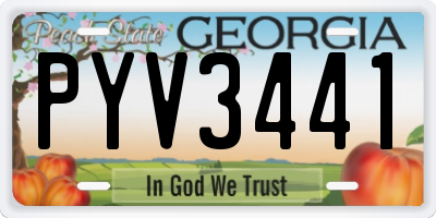 GA license plate PYV3441