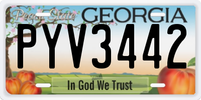 GA license plate PYV3442