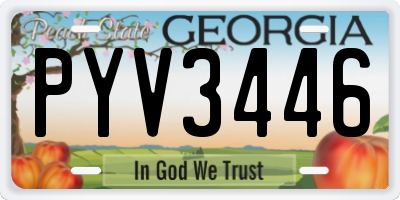 GA license plate PYV3446