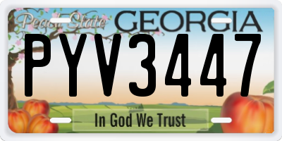 GA license plate PYV3447
