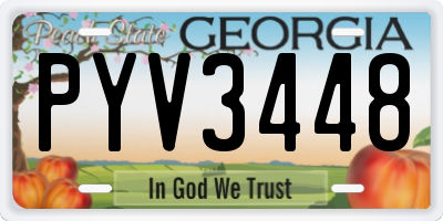 GA license plate PYV3448