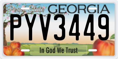 GA license plate PYV3449