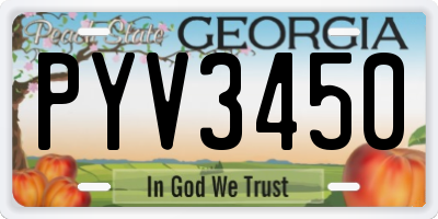 GA license plate PYV3450