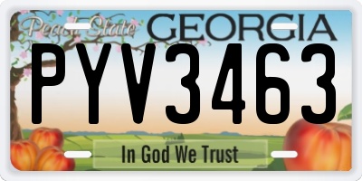 GA license plate PYV3463