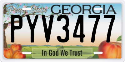 GA license plate PYV3477