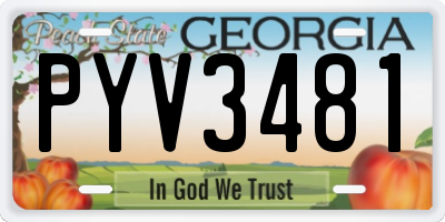 GA license plate PYV3481