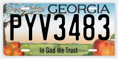 GA license plate PYV3483