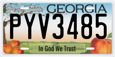GA license plate PYV3485