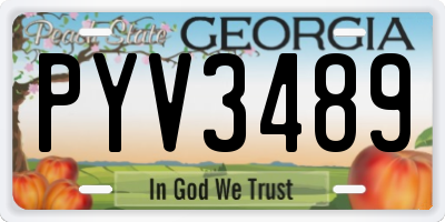 GA license plate PYV3489