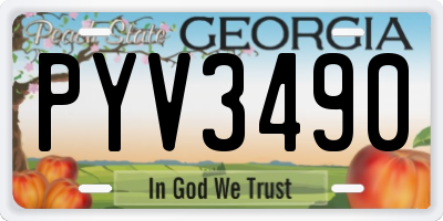 GA license plate PYV3490