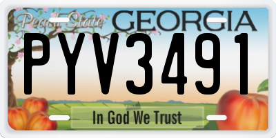 GA license plate PYV3491