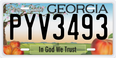 GA license plate PYV3493