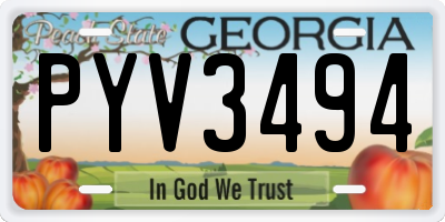 GA license plate PYV3494