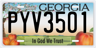 GA license plate PYV3501