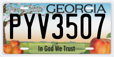 GA license plate PYV3507
