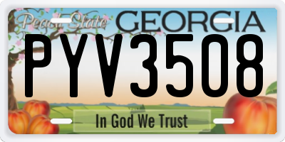 GA license plate PYV3508
