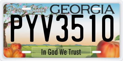 GA license plate PYV3510
