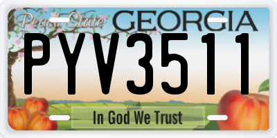 GA license plate PYV3511