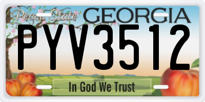GA license plate PYV3512