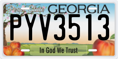 GA license plate PYV3513