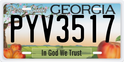 GA license plate PYV3517