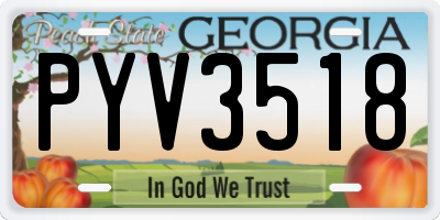 GA license plate PYV3518
