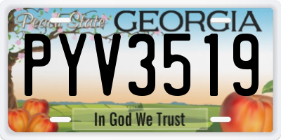 GA license plate PYV3519