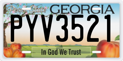 GA license plate PYV3521