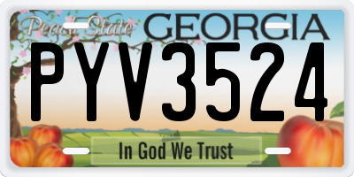 GA license plate PYV3524